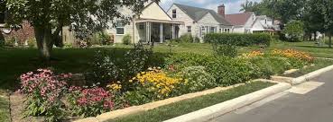 Rain garden in the Hilltop Columbus, Ohio